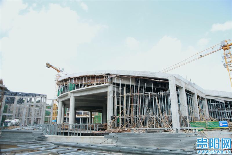 1652063169716194.jpg 1.jpg