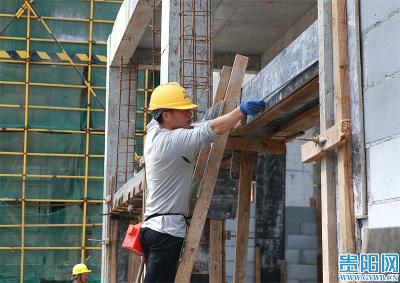 1652063183670768.jpg 4.jpg