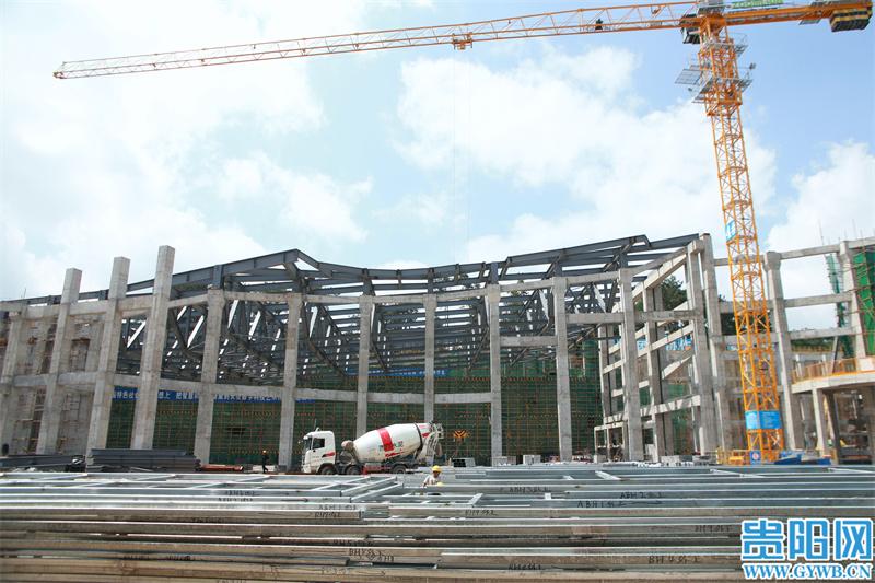 1652063191105381.jpg 6.jpg