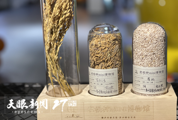 1654479683648789.png 01.png