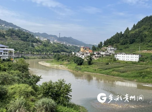 1656902602377052.png 1111.png