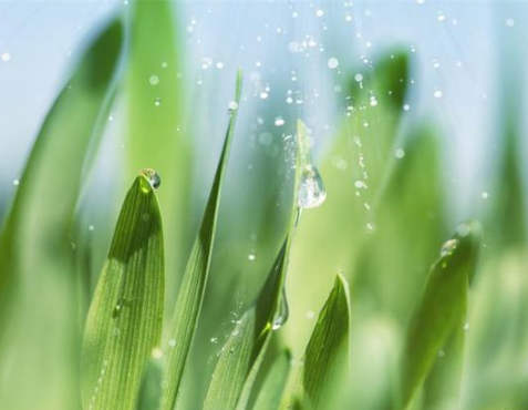 1657264271882480.png 444.png