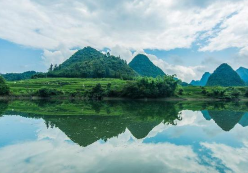 1657264278486783.png 555.png