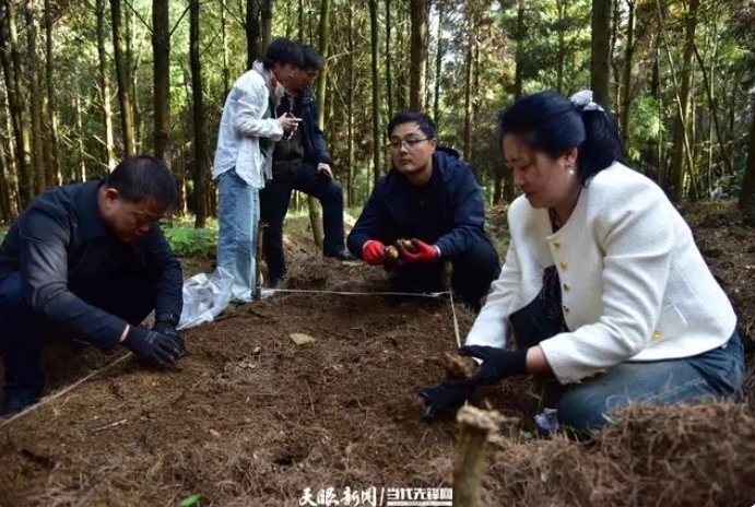 微信截图_20231106095357.png