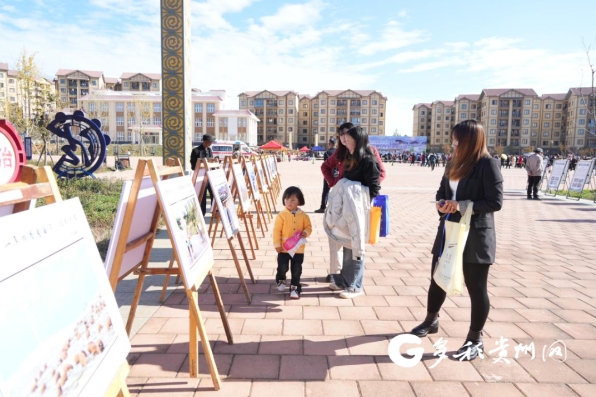 微信截图_20231110102713.png