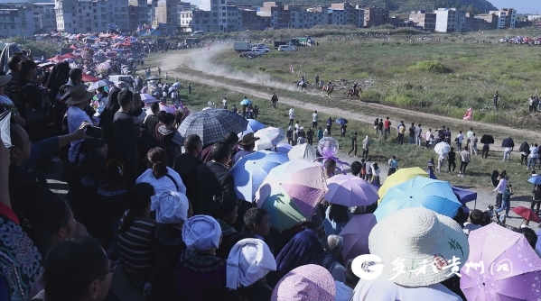 微信截图_20231110103220.png