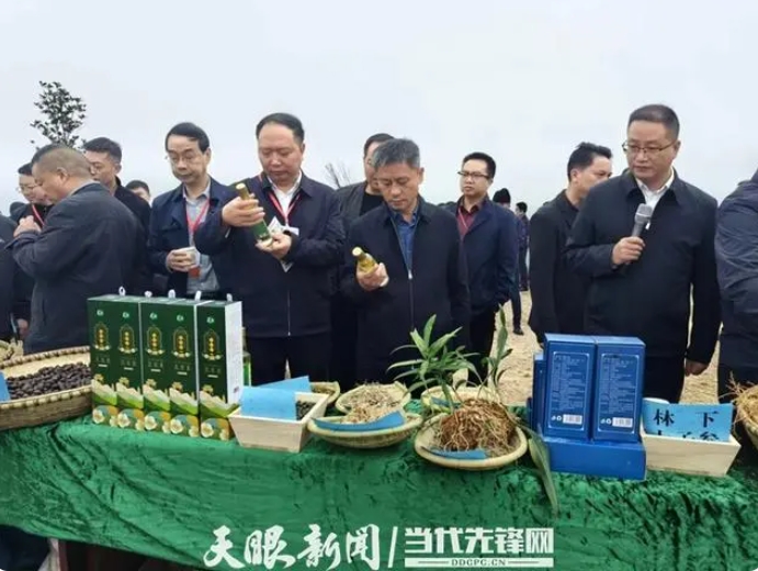 微信截图_20231110144003.png