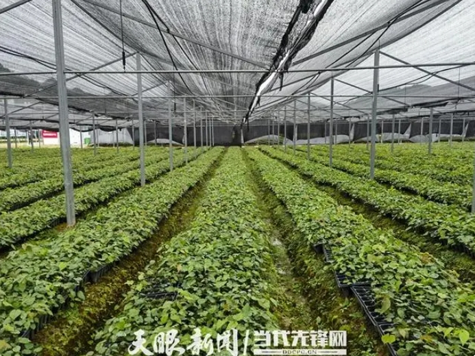 微信截图_20231110144040.png